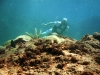 Outside the reef