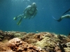 Outside the reef