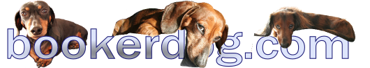 The historic bookerdog.com banner. Three dachshunds draped over word art of "bookerdog.com".